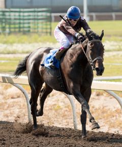 Shannon Beauregard and Port Protection