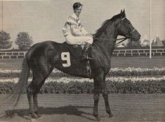 Chariot Chaser in 1965