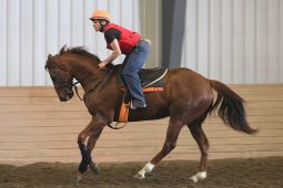 Presentation Day at Olds College