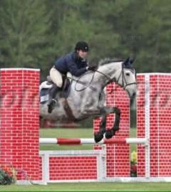 Horse show 2011