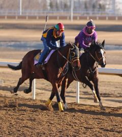Breezing with jockey Mauricio Malvaez 2021