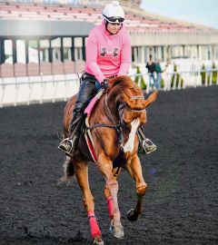 Galloping at Golden Gate for Trainer Robert Hess Sr. 2020