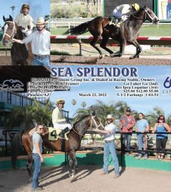 Win Photo for Sea Splendor breaking maiden first time out - assistant for trainer Craig Smith at Turf Paradise 