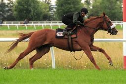 'Pender' &amp; Contreras enjoy morning training... (Michael Burns Photography)  