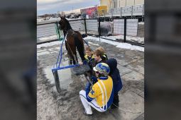 Tyler Redwood and his young fans were celebrating a dead heat victory with Blue Who in Race 5. (Century Downs photo)