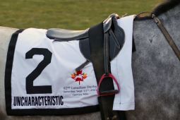 Freshly saddled in the paddock