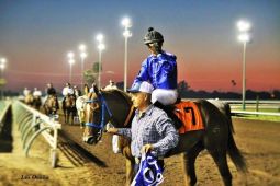 Toughie to the Winner's Circle