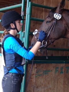 Charlene and West Point getting ready for the South Peace Horse Trials