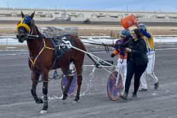 Tyson Jacoby getting splashed by trainer Tyler Redwood as Logan Archibald helps out. (Photo by Diane Harries-Hennessy)