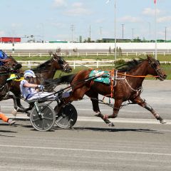 Salary mixing it up and coming out on top at Century Downs