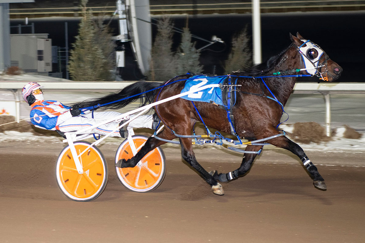 Probert, winner of the Don Byrne Memorial stake at Century Mile. Driver: Brandon Campbell