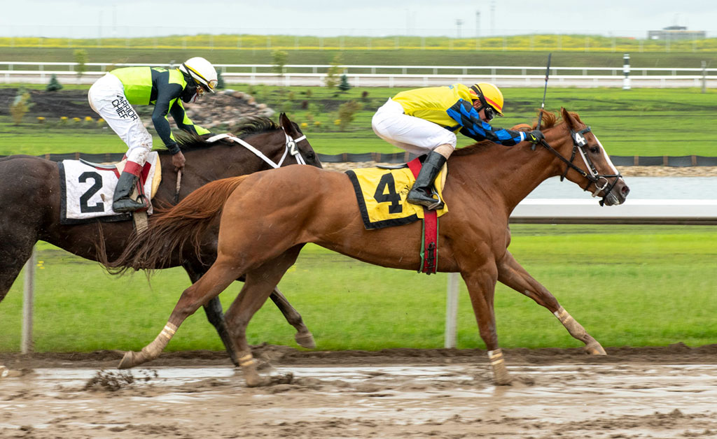 Something About Me in the Sonoma Stake