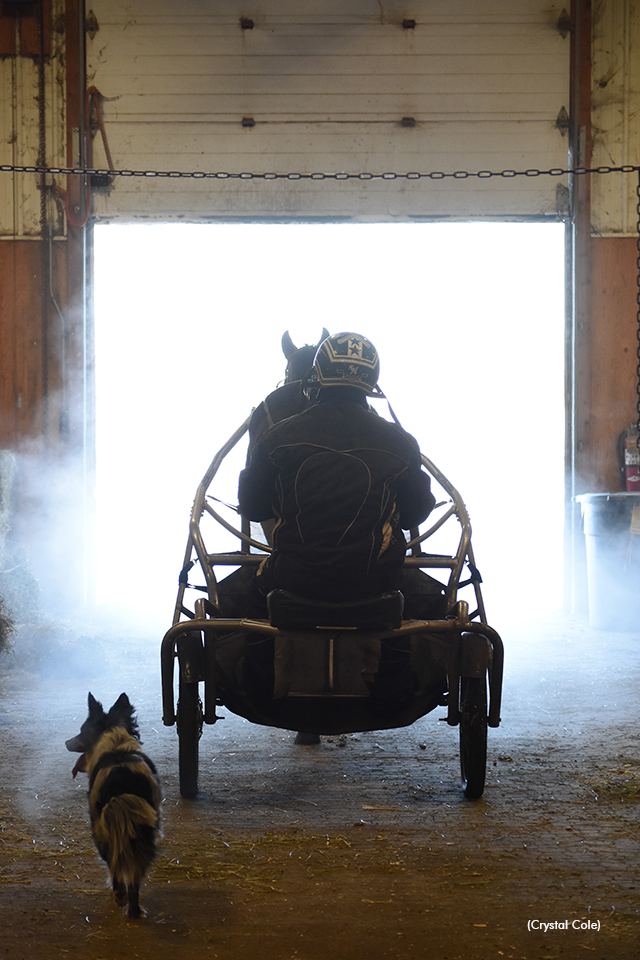 “Through the Lens” by Crystal Cole