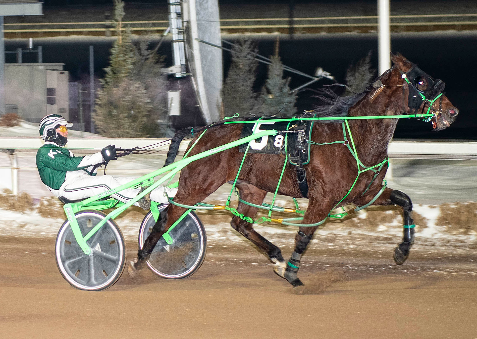 West Coast Beach, driven by Kelly Hoerdt, set a blazing 1:54 time in the second Western Canada Pacing Derby Elimination race