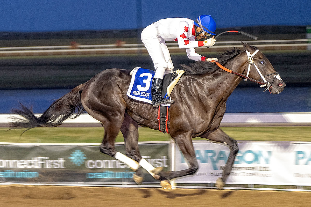Great Escape near the wire in the 2022 Canadian Derby on August 20, 2022
