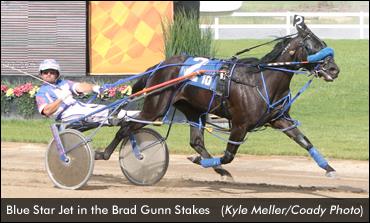 Blue Star Jett in the Brad Gunn