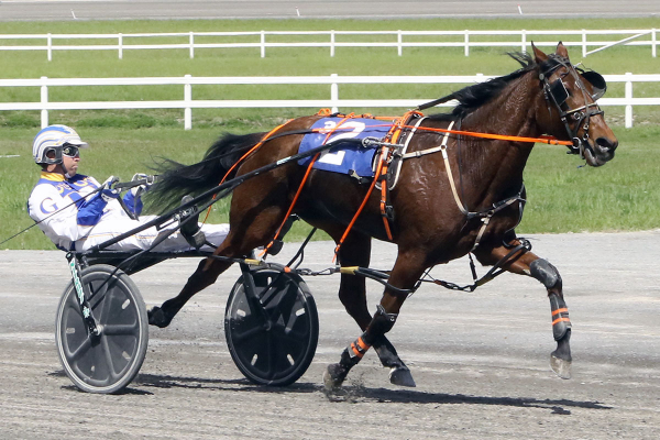 Salary in the stretch drive at Century Downs