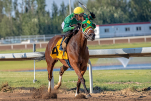 Irish Gold in his racing days