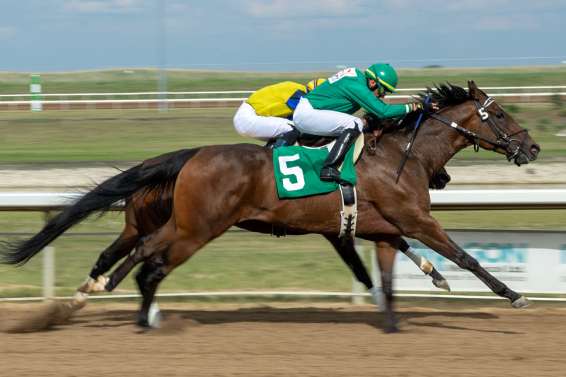 Asyoubelieve with a slight edge over Stone Carver in the stretch in Century Mile's Journal Handicap