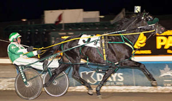 First Class Horse at the finish line in the Western Canada Pacing Derby