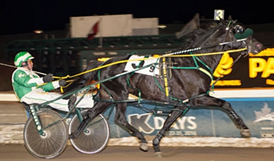 First Class Horse at the finish line in the Western Canada Pacing Derby