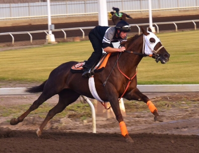 Brandon Duchaine galloping at Northlands Park