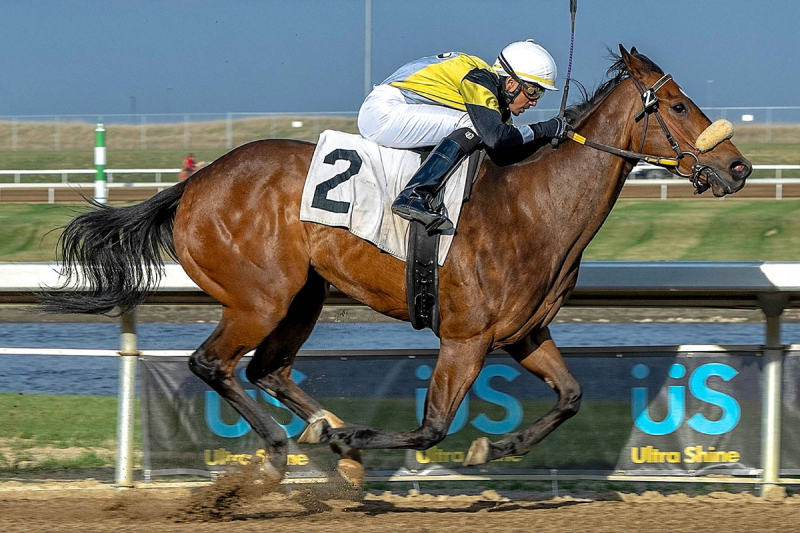 Brian Boodramsingh aboard Force To Rekn With in the 2024 $50,000 Sonoma Stakes