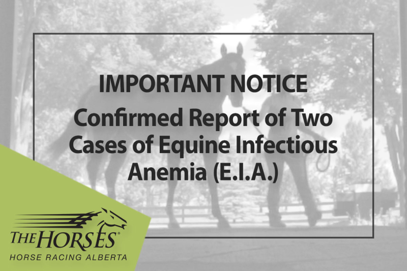 Important Notice: Confirmed Report of Two Cases of Equine Infectious Anemia (E.I.A.) (Jan. 7)