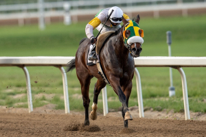 Maskwecis in the stretch at Century Mile May 30, 2021 (Rico Walcott)