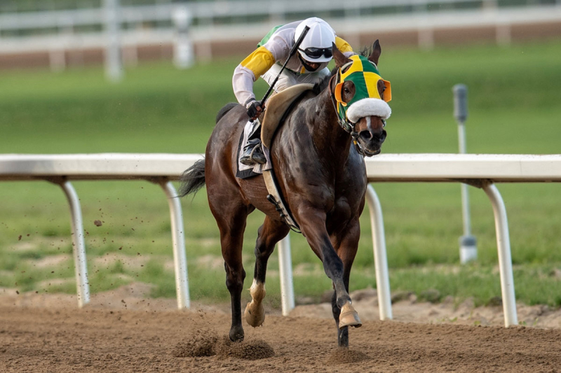 Maskwecis in the stretch at Century Mile May 30, 2021 (Rico Walcott)