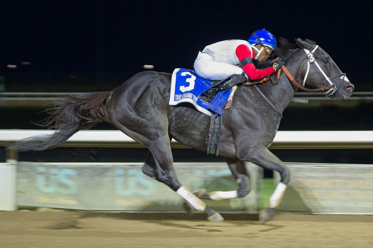 Take Charge Tom and Rasheed Hughes at the finish line Saturday in the 96th Canadian Derby at Century Mile Racetrack and Casino