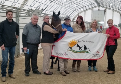 2019 ASHA Yearling Sale