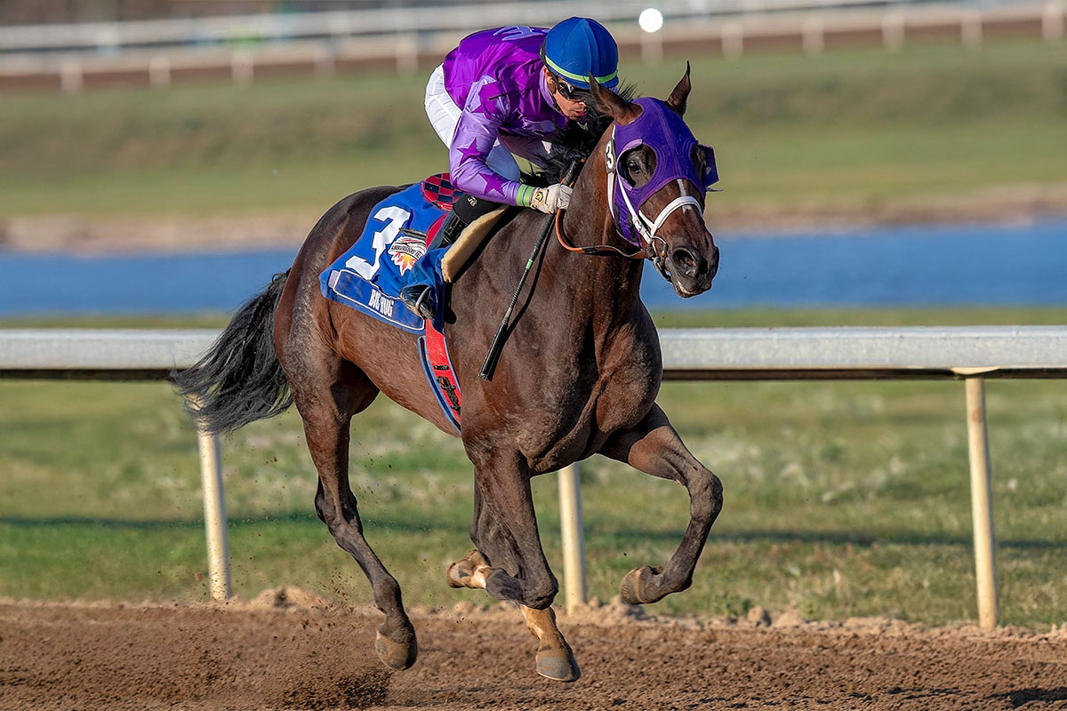 Big Hug and Rafael Zenteno Jr. winning the Alberta Fall Classic Distaff at Century Mile Racetrack &amp; Casino