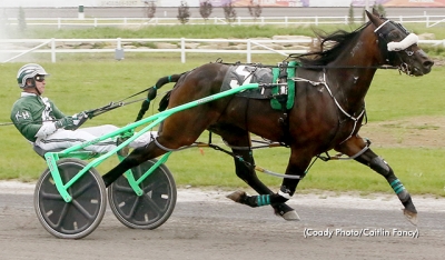 KNEEDEEP N CUSTARD (Hoerdt) will be in race 10 at Fraser Downs
