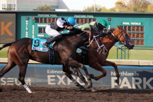 Shimshine edges Regal Max in the Alberta Premier on Alberta Breeders' Fall Classic day