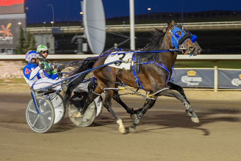 ByBy Baby ByBy nipping Outlawguns N Roses in the Starburst Stake at Century Mile