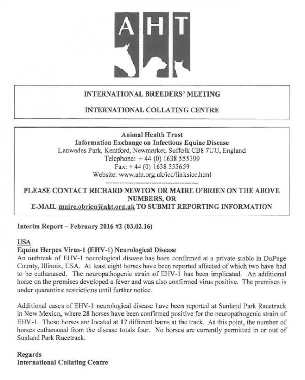 AHT Interim Report - February 2016