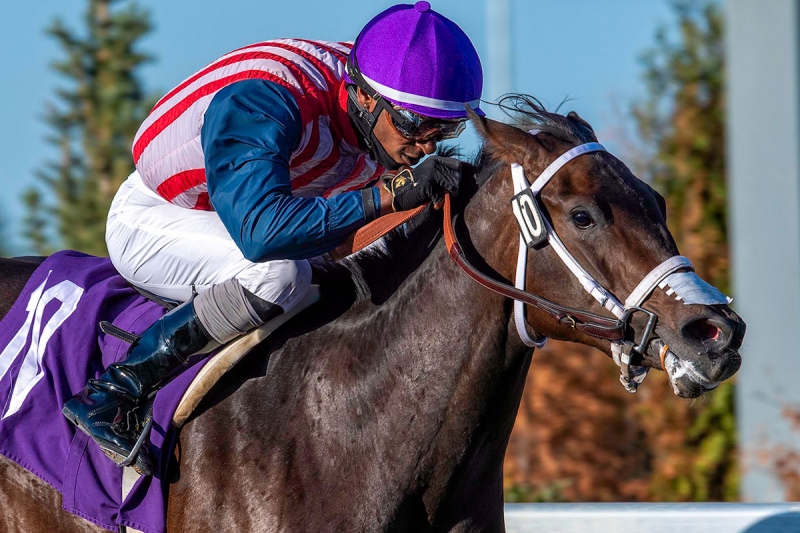 Rico Walcott aboard Bells and Whistles in the 5th race, July 26th at Century Mile