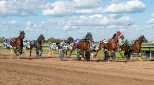 Future Star has three favourites in the two biggest stakes of the year