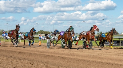 Future Star has three favourites in the two biggest stakes of the year