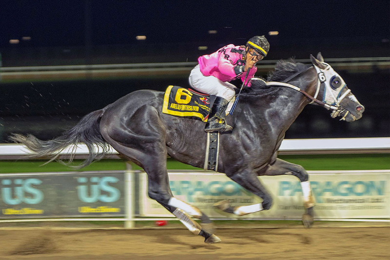 Abeliefinthislivin and jockey Amadeo Perez at the finish line of the 94th Canadian Derby on Saturday at Century Mile