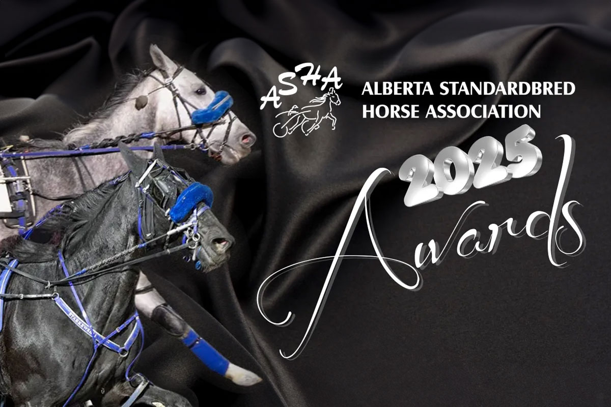 2025 ASHA Awards Night