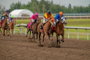 Expode (outside) and Journeyman in the stretch at Century Mile in the 90th Canadian Derby