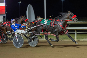 Custers Stand and driver Phil Giesbrecht in the stretch of the Shooting Star Stakes on Saturday at Century Mile