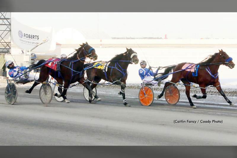 Crackle And Burn at Century Downs