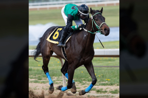 Above and Beyond at Century Mile with N'Rico Prescod aboard