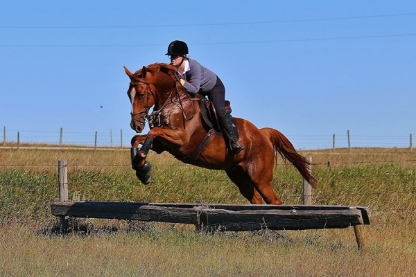 Shining Like Diamonds