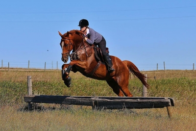 Shining Like Diamonds