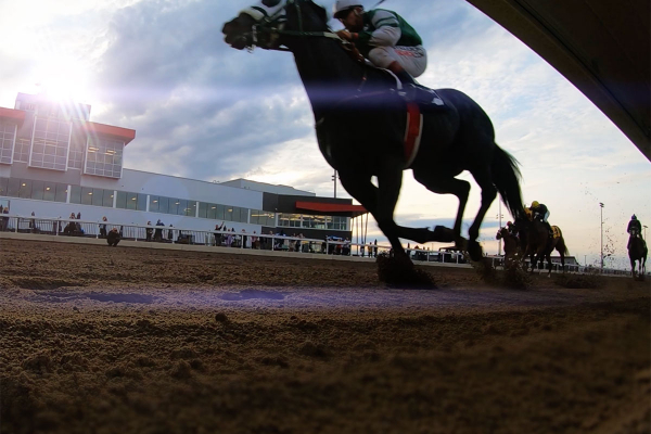 Race for Leading Jockey title tightens further at Century Mile