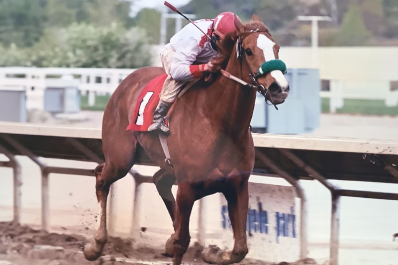 Chris McGregor leading the pack at Stampede Park